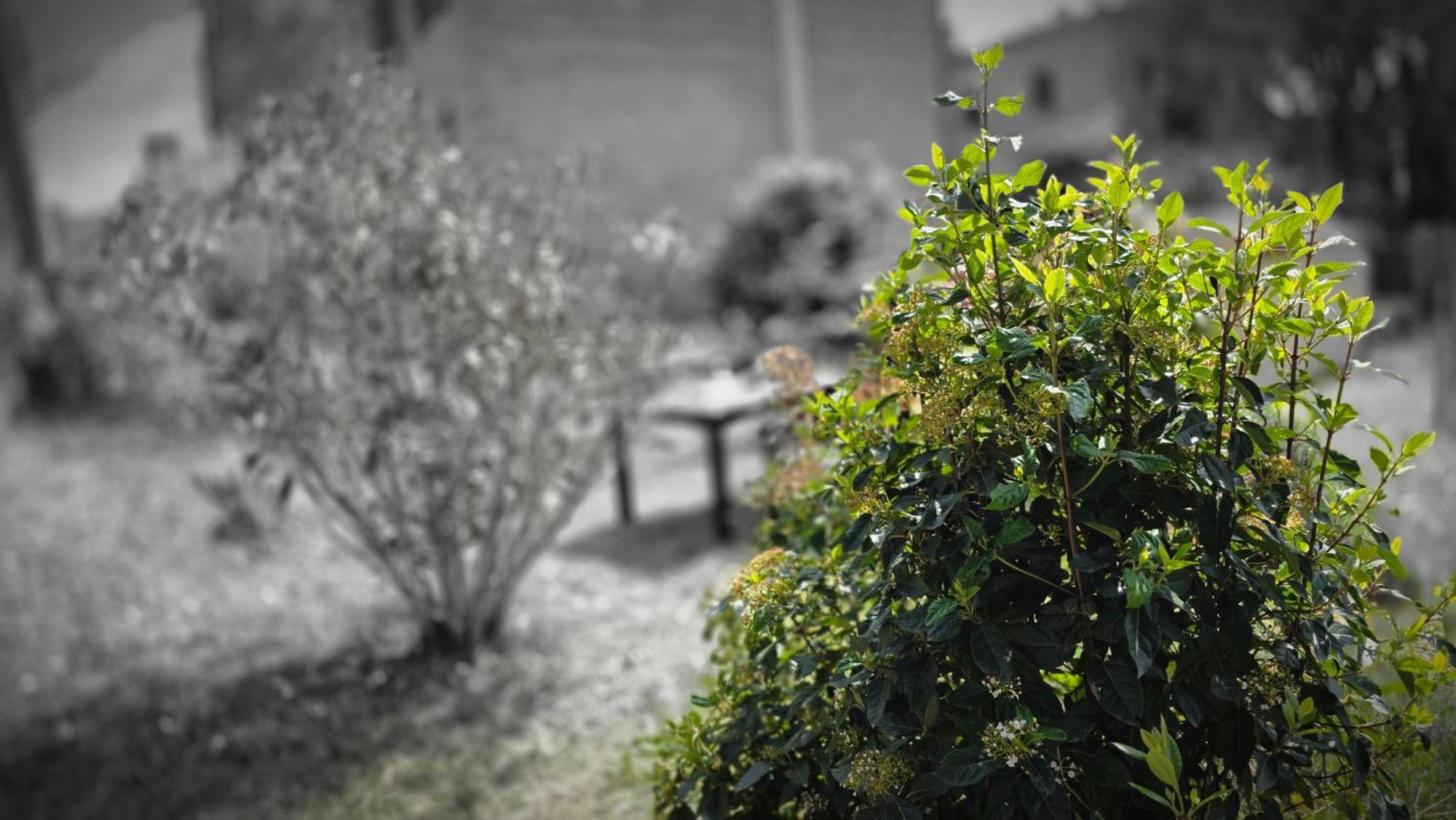 A Casa Di Gabri Villa Montefollonico ภายนอก รูปภาพ