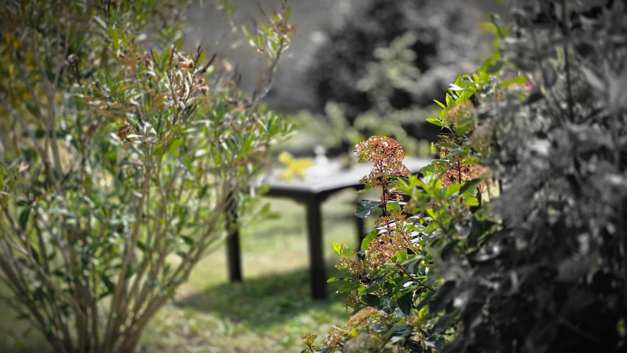 A Casa Di Gabri Villa Montefollonico ภายนอก รูปภาพ